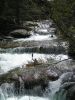 PICT0014.jpg