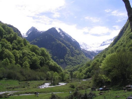 Cliquez pour voir l'image en taille relle