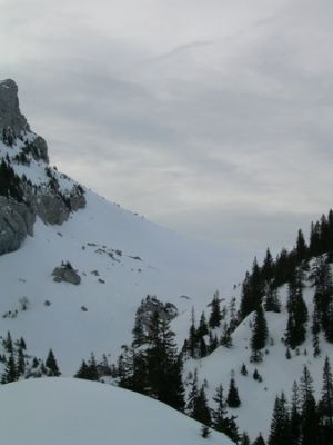 Cliquez pour voir l'image en taille relle