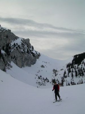Cliquez pour voir l'image en taille relle