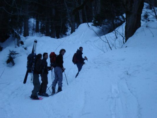 Cliquez pour voir l'image en taille relle