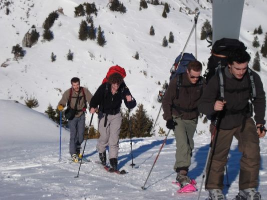Cliquez pour voir l'image en taille relle