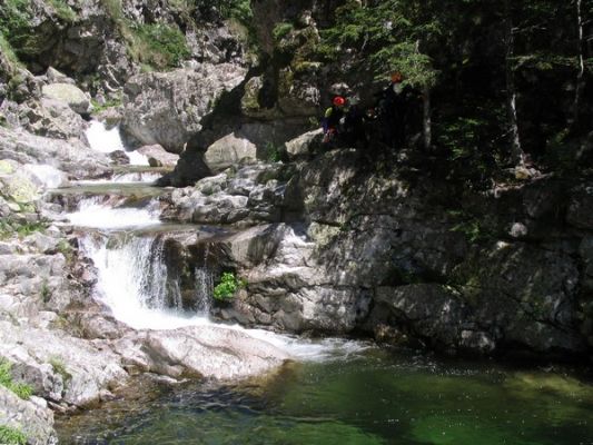Cliquez pour voir l'image en taille relle