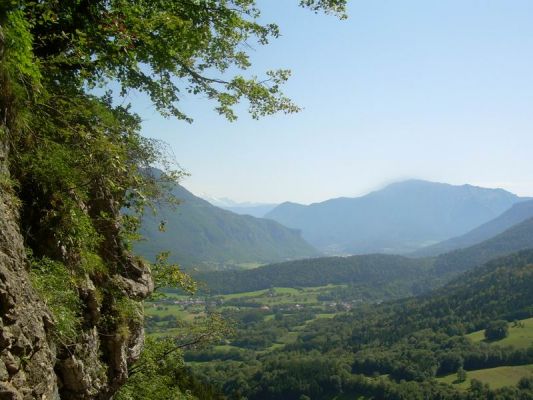 Cliquez pour voir l'image en taille relle