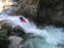 IMG_0077_2_1_1.JPG